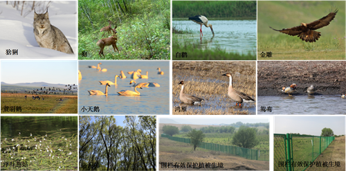 園冶杯專業(yè)獎：額爾古納濕地公園總體規(guī)劃