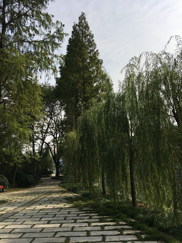 園冶杯專業獎：滁州內城河景觀改造設計