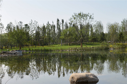 園冶杯專業(yè)獎：固安中央公園景觀設(shè)計