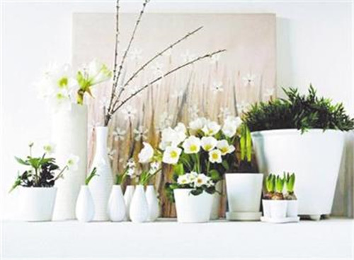 家居花藝風(fēng)水你留意了嗎