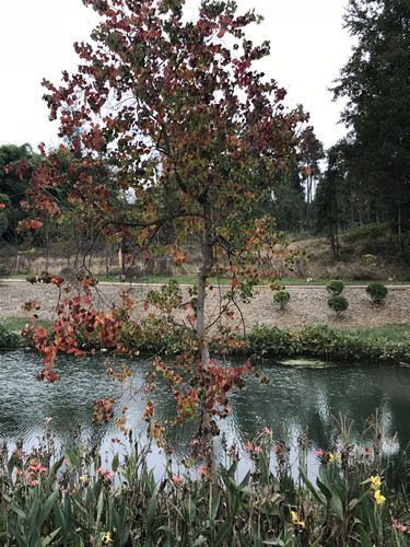 2017園冶杯專業獎現場評審報道（貴州站）