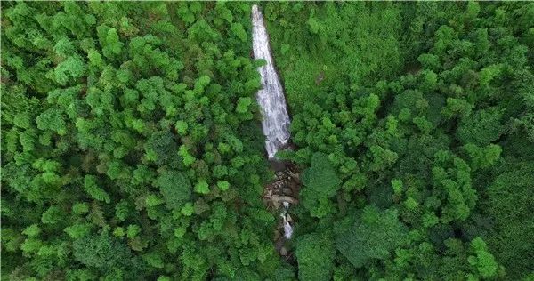 江西又有三個國家公園入選“中國森林氧吧”
