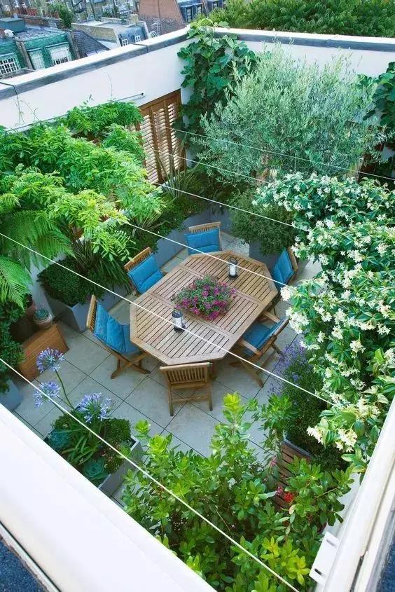 屋頂花園又不是說說而已