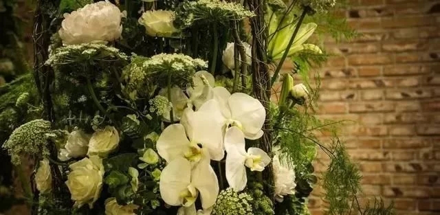 荷蘭園藝行業(yè)剛剛發(fā)布了2018年花藝設(shè)計(jì)趨勢(shì)