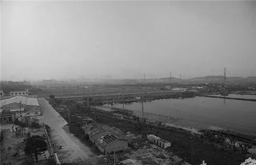 東莞生態園：海綿城市為術，區域整合為道