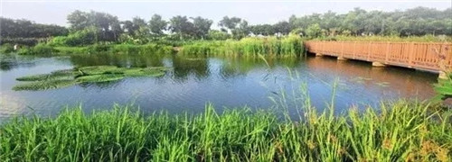 東莞生態園：海綿城市為術，區域整合為道