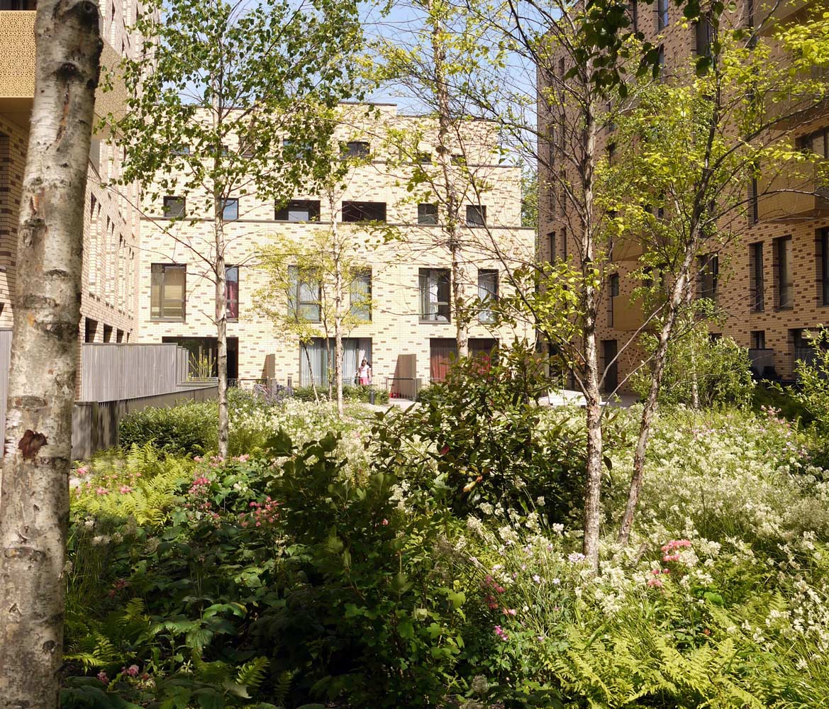 倫敦圣安德魯斯高密度住宅區(qū)景觀設(shè)計