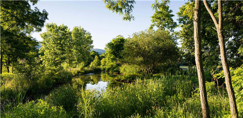 紐約Long Dock彈性濱河公園景觀設(shè)計