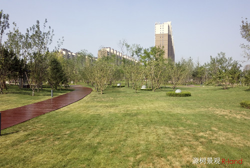 【源樹作品】地鐵上蓋公園——京投發(fā)展悅府公園景觀改造提升