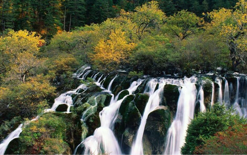 王達：從庭院到風景，重回中國造園的原點