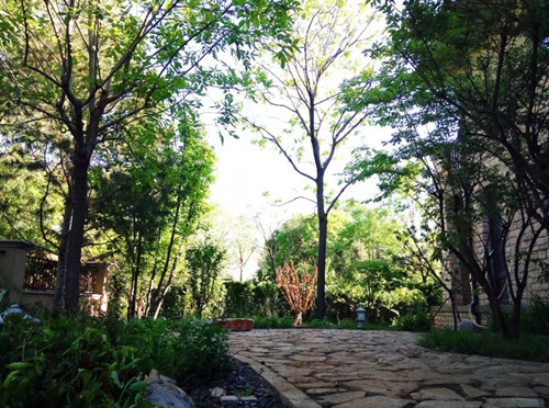王達：從庭院到風景，重回中國造園的原點