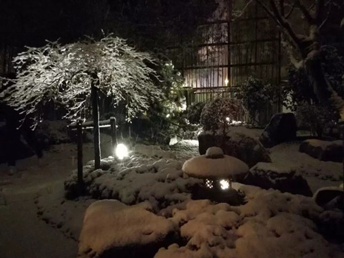 王達：從庭院到風景，重回中國造園的原點