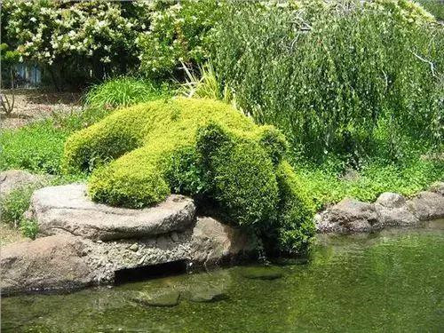 全球創意主題植物雕塑欣賞