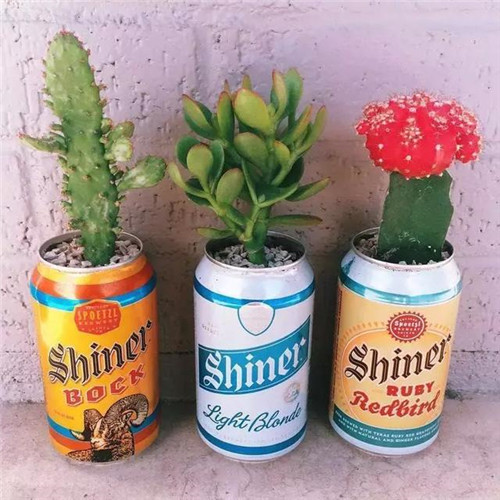 誰說養花插花一定得用花瓶？