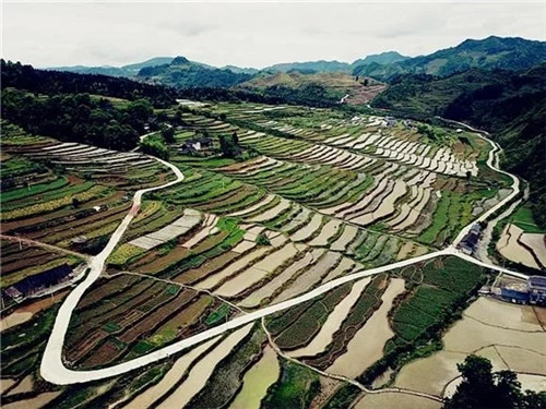 酉陽(yáng)龍甲梯田：繪出醉美的大地曲線(xiàn)