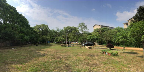 周晨：聯結——面向生態文明的風景園林教育實踐