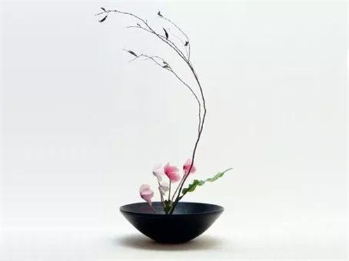 插花藝術(shù)讓你更懂得生活的情調(diào)