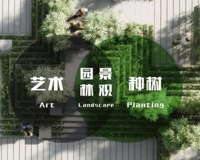 漫畫解釋　園林專業到底是干嘛的？