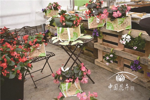 2018歐洲花卉新品展示會延續(xù)強(qiáng)勢