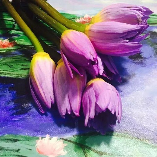 插花入門篇｜小白選手從認(rèn)識(shí)常見花材開始