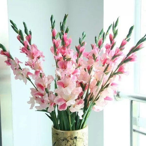 插花入門篇｜小白選手從認(rèn)識(shí)常見花材開始