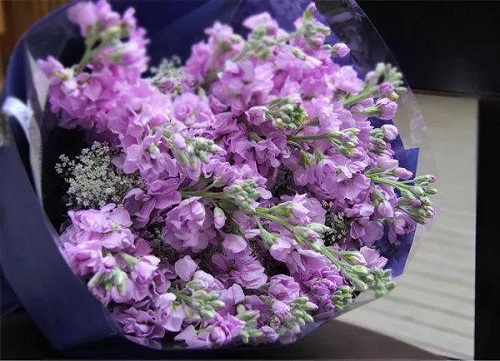 插花入門篇｜小白選手從認(rèn)識(shí)常見花材開始