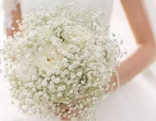 插花入門篇｜小白選手從認(rèn)識(shí)常見花材開始