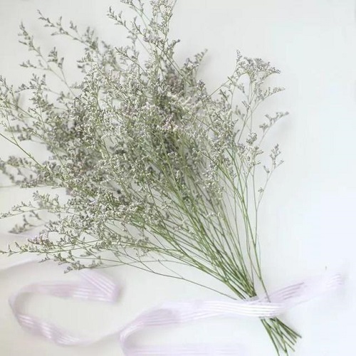 插花入門篇｜小白選手從認(rèn)識(shí)常見花材開始