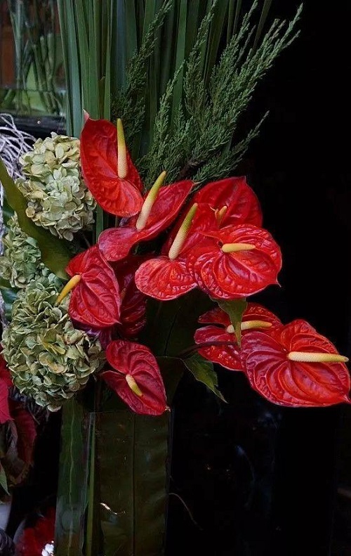 插花入門篇｜小白選手從認(rèn)識(shí)常見花材開始