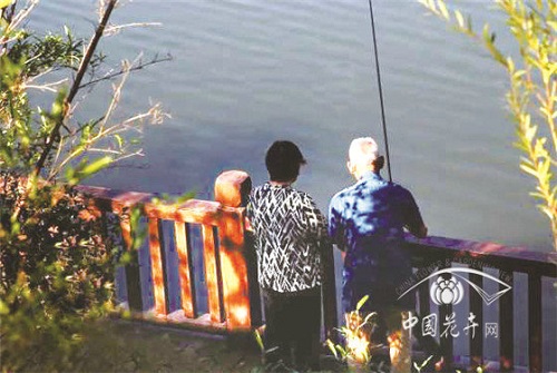 植物空間營(yíng)造如何與康養(yǎng)結(jié)合？