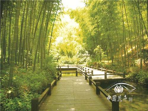 植物空間營(yíng)造如何與康養(yǎng)結(jié)合？