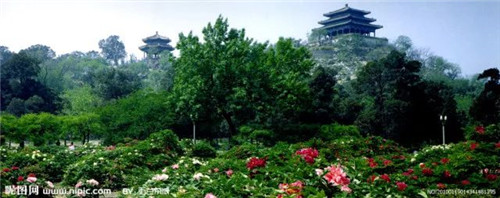 “公園—城市”關(guān)系的歷史變遷與發(fā)展趨勢(shì)
