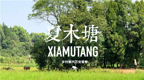 鄉(xiāng)村為底圖，設計為橋梁：2018第三屆國際高校建造大賽結果揭曉