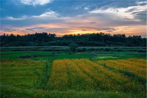 鄉(xiāng)村為底圖，設計為橋梁：2018第三屆國際高校建造大賽結果揭曉