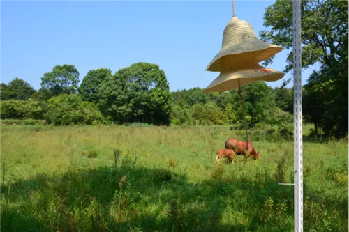 鄉(xiāng)村為底圖，設計為橋梁：2018第三屆國際高校建造大賽結果揭曉
