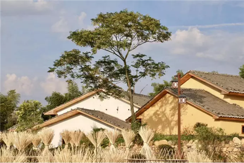 鄉(xiāng)村為底圖，設計為橋梁：2018第三屆國際高校建造大賽結果揭曉