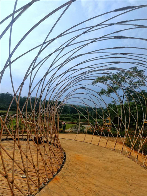鄉(xiāng)村為底圖，設計為橋梁：2018第三屆國際高校建造大賽結果揭曉