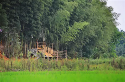 鄉(xiāng)村為底圖，設計為橋梁：2018第三屆國際高校建造大賽結果揭曉
