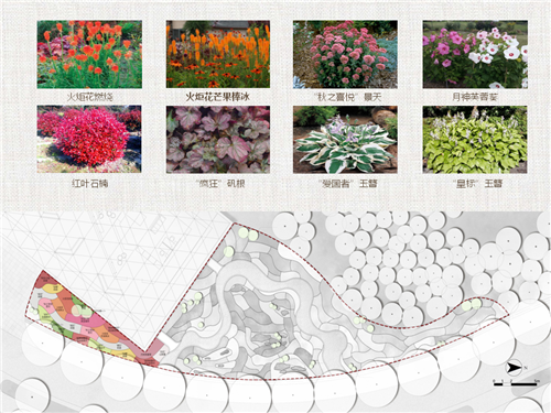 河北省第二屆（秦皇島）園博會(huì)花境創(chuàng)意作品——山海側(cè)　花間頤心