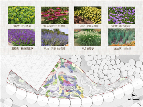 河北省第二屆（秦皇島）園博會(huì)花境創(chuàng)意作品——山海側(cè)　花間頤心