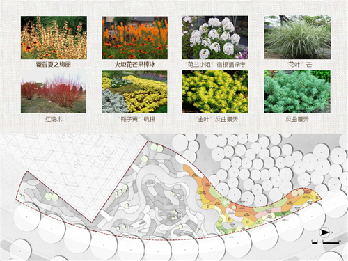 河北省第二屆（秦皇島）園博會(huì)花境創(chuàng)意作品——山海側(cè)　花間頤心