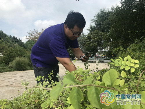 江蘇常州：建設(shè)“智慧園林”首用“黑科技”