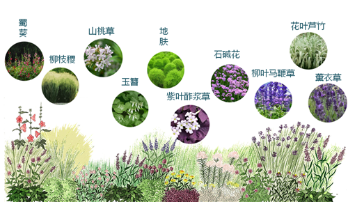 河北省第二屆園博會花境創(chuàng)意作品——尋光者