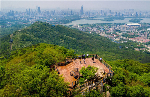 園冶杯專(zhuān)業(yè)獎(jiǎng)：中山陵園風(fēng)景區(qū)頭陀嶺區(qū)域環(huán)境整治工程