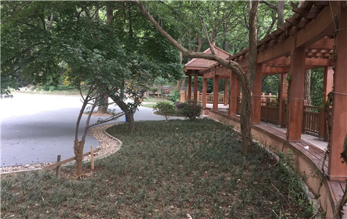 園冶杯專(zhuān)業(yè)獎(jiǎng)：中山陵園風(fēng)景區(qū)頭陀嶺區(qū)域環(huán)境整治工程
