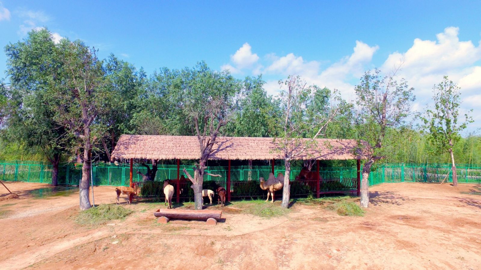 園冶杯專業(yè)獎(jiǎng)：臨沂動(dòng)植物園散養(yǎng)區(qū)景觀設(shè)計(jì)