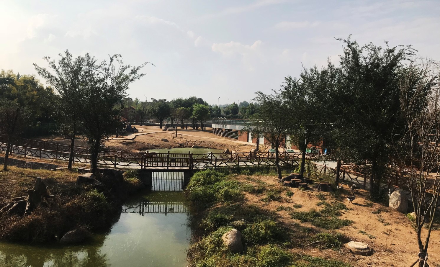 園冶杯專業(yè)獎(jiǎng)：臨沂動(dòng)植物園散養(yǎng)區(qū)景觀設(shè)計(jì)