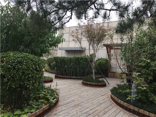 園冶杯專業獎：北大國際醫院屋頂花園設計