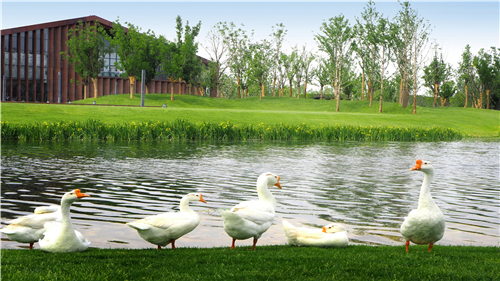 園冶杯專業(yè)獎(jiǎng)：武陟龍澤湖公園