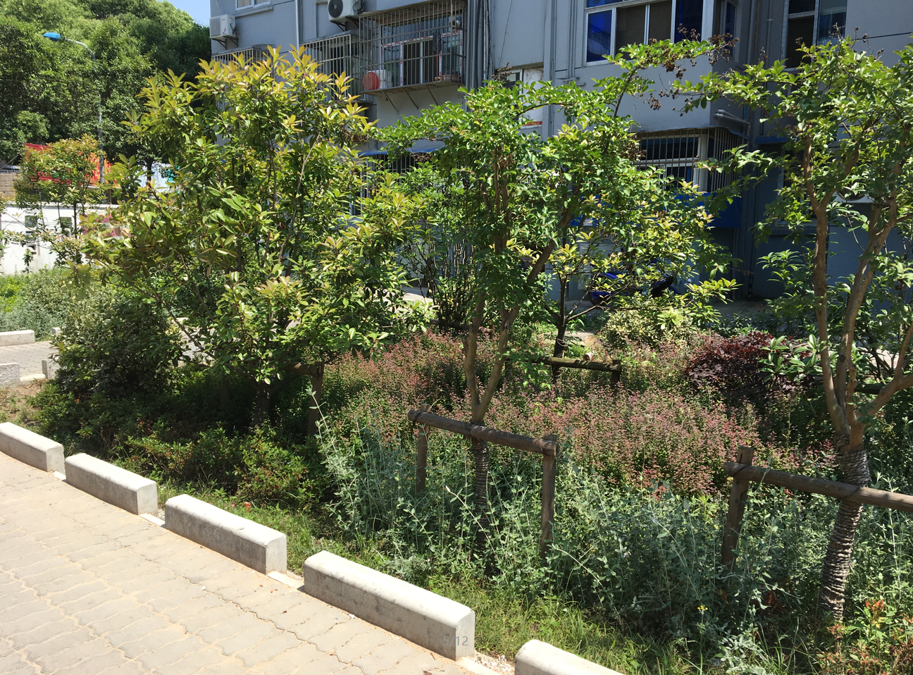 園冶杯專業(yè)獎：鎮(zhèn)江市江二社區(qū)海綿城市改造工程景觀設(shè)計(jì)
